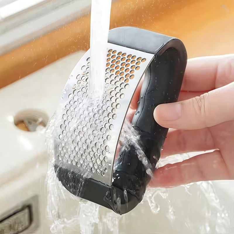 Stainless Steel Garlic Rocker